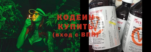 прущие грибы Абдулино