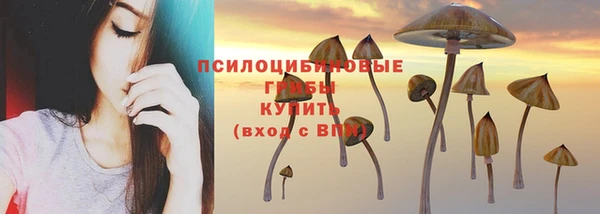 прущие грибы Абдулино