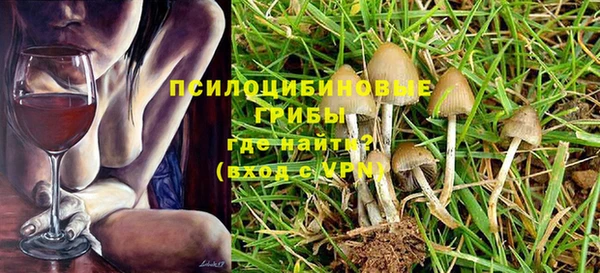 прущие грибы Абдулино