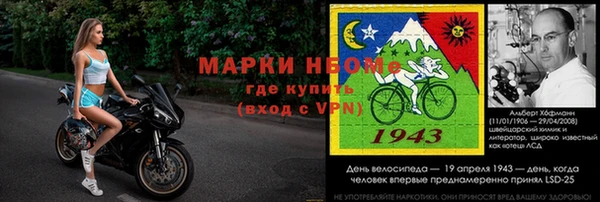 прущие грибы Абдулино
