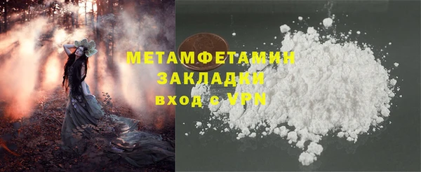 прущие грибы Абдулино
