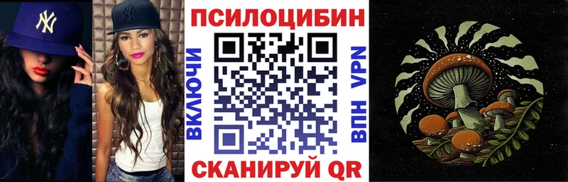 Псилоцибиновые грибы мицелий  наркотики  Туран 